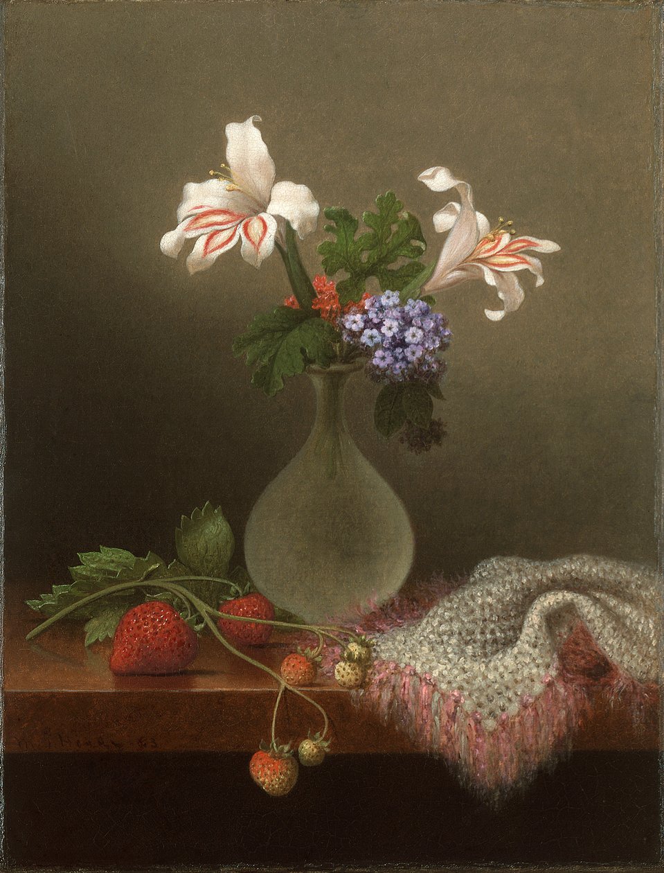 Vase de lys des champs et héliotrope - Martin Johnson Heade