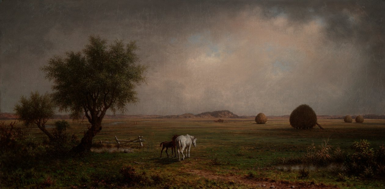 Jument et poulain dans un marais - Martin Johnson Heade