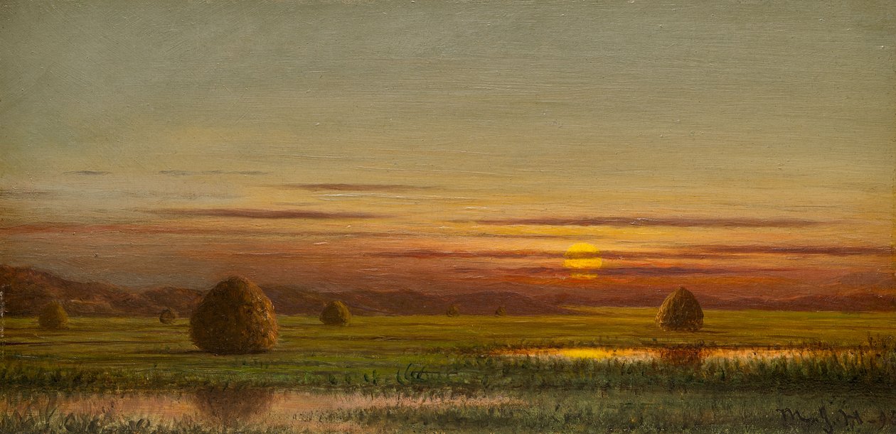 Marais - Martin Johnson Heade
