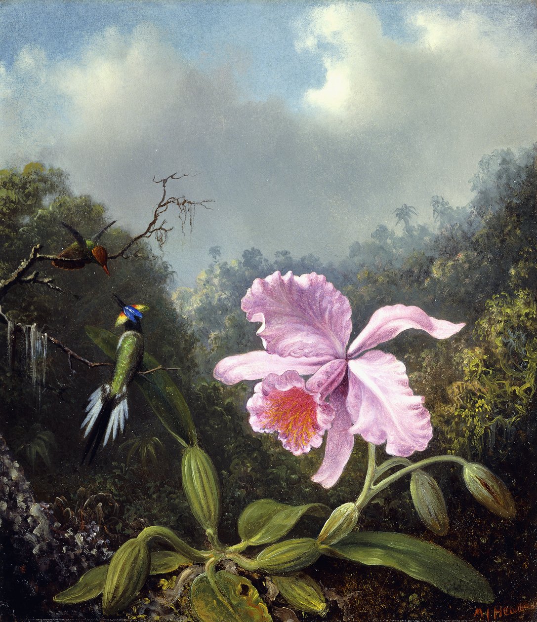 Nature morte avec orchidée et paire de colibris, vers 1890 - Martin Johnson Heade