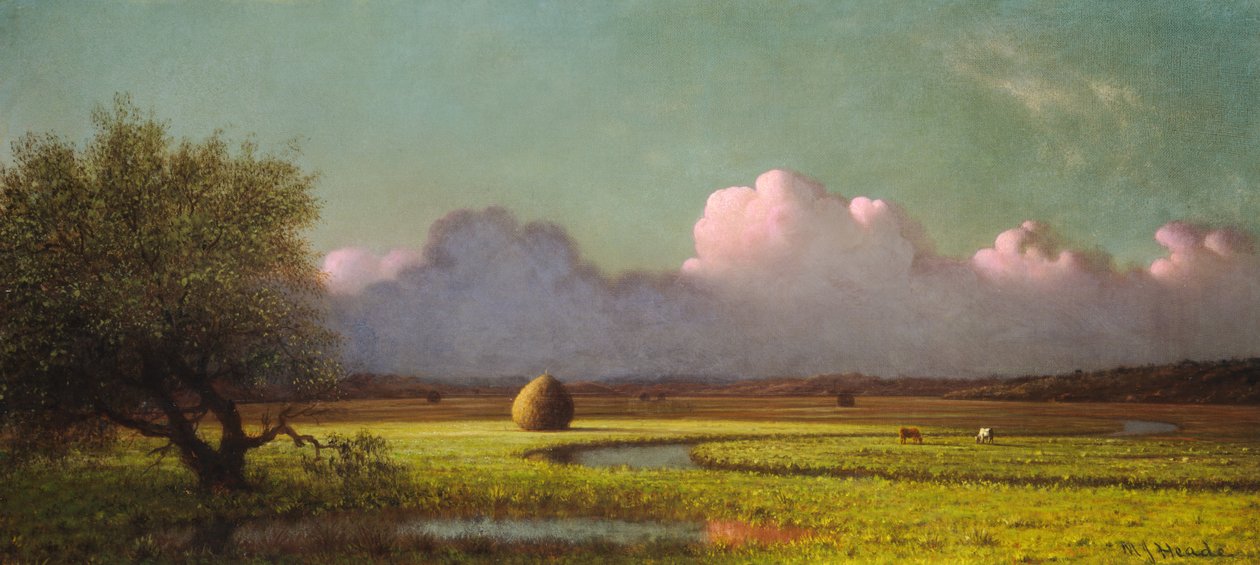 Ombre et lumière du soleil : les marais de Newbury - Martin Johnson Heade