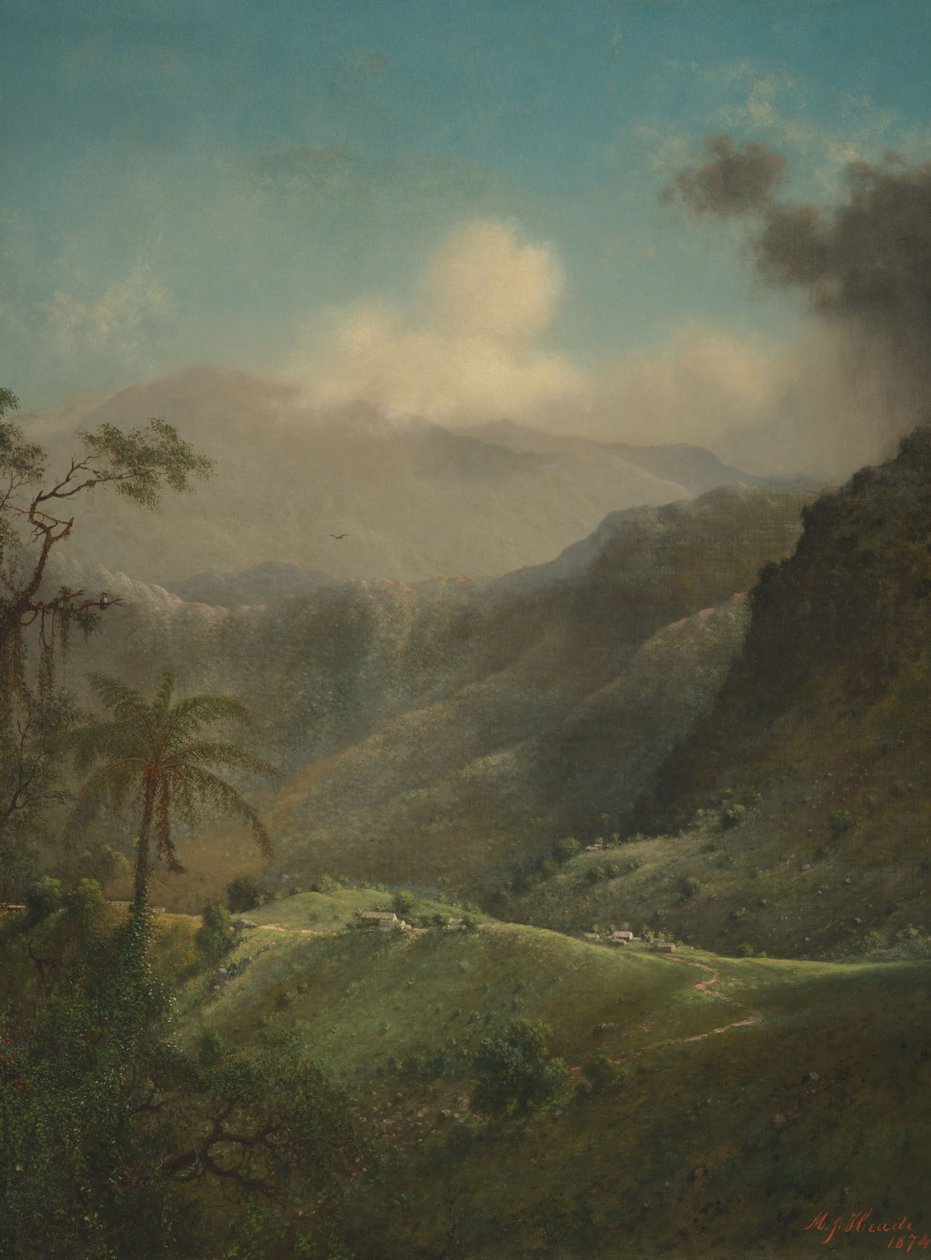 Hautes terres tropicales - Martin Johnson Heade