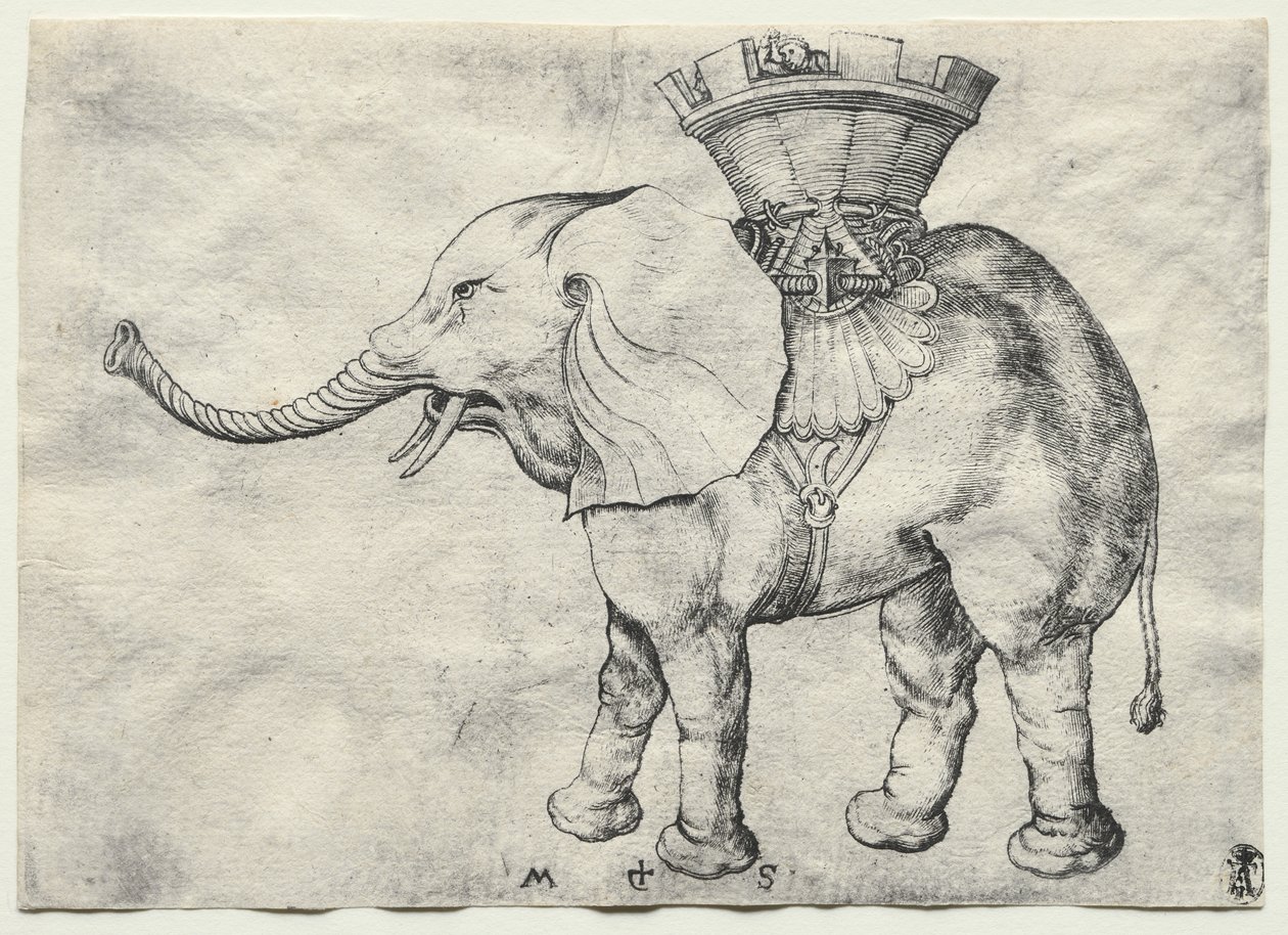 Un Éléphant avec Howdah - Martin Schongauer