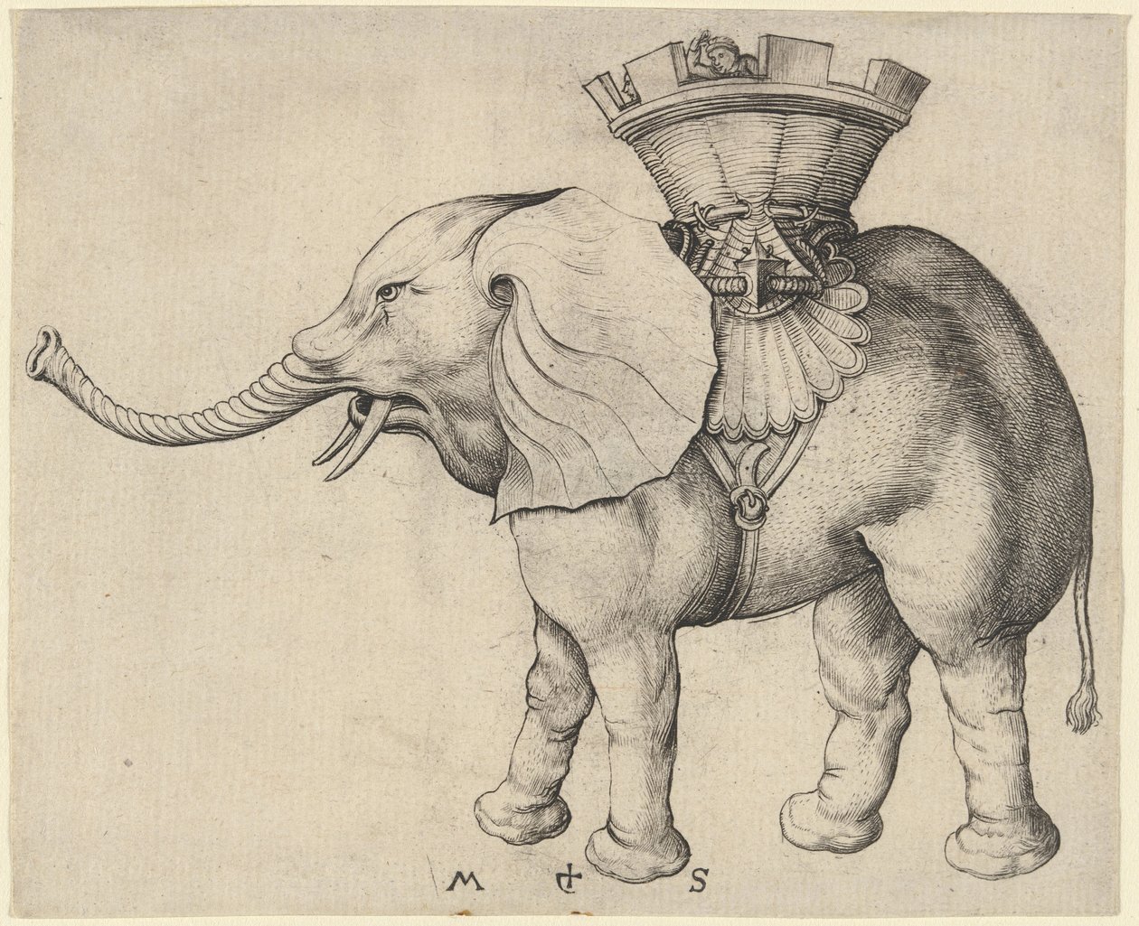 Éléphant - Martin Schongauer
