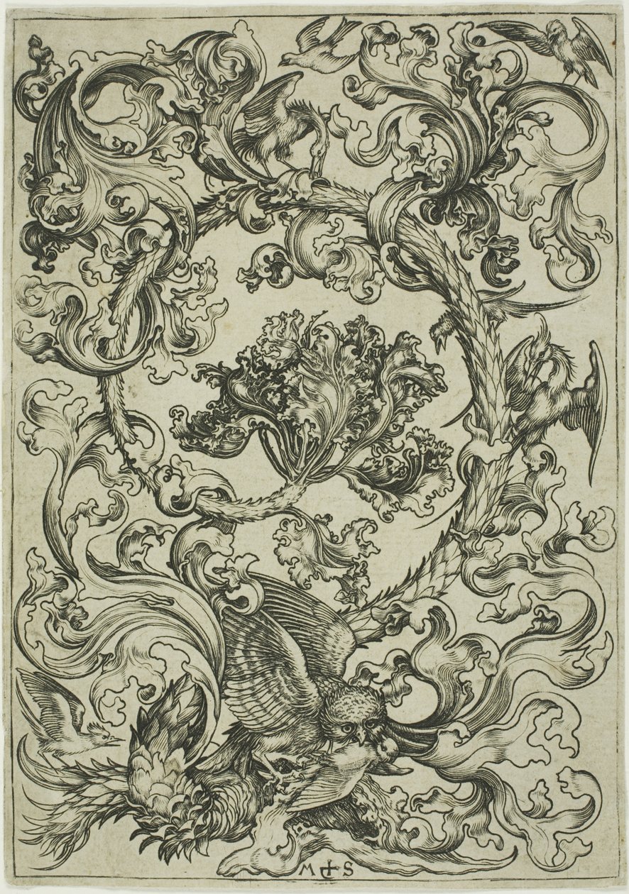 Ornement avec chouette moquée par les oiseaux de jour - Martin Schongauer