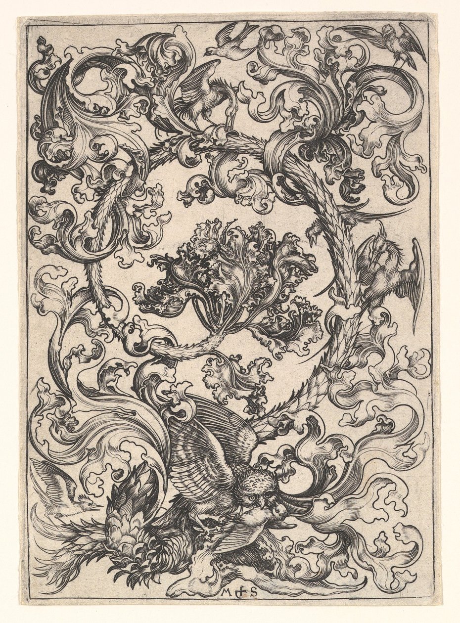 Ornement avec hibou moqué par les oiseaux diurnes - Martin Schongauer