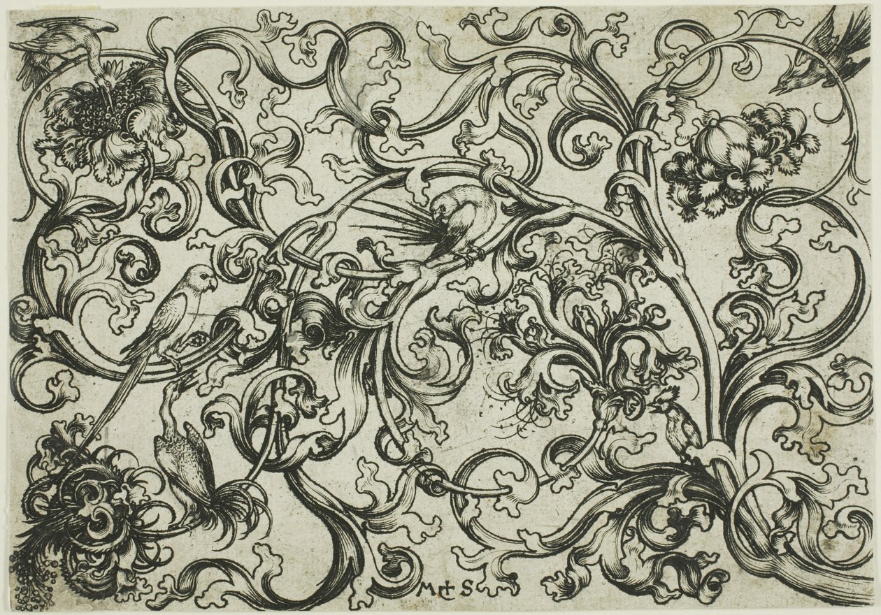Ornement de vigne avec perroquets et oiseaux - Martin Schongauer