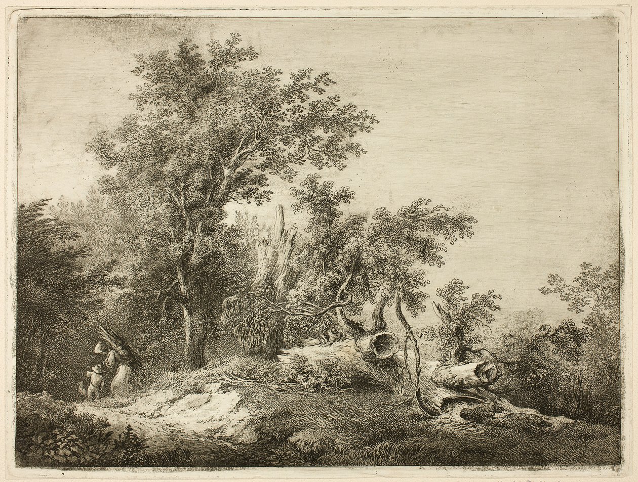Le breuvage de l