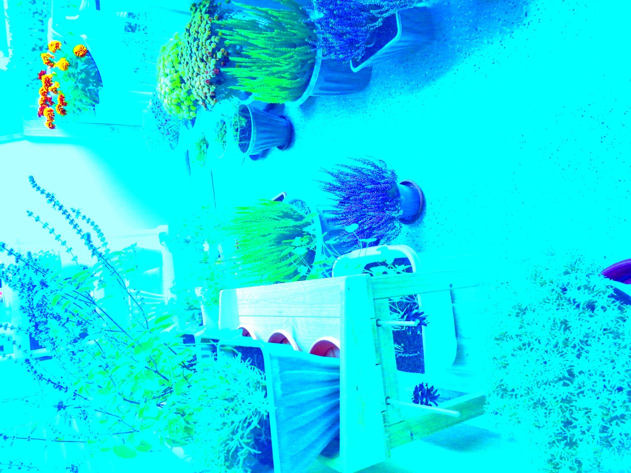 Jardinage - Martina Konitzky