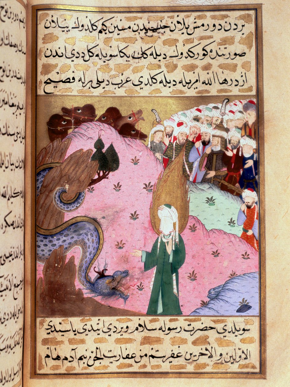 Muhammad, représente le visage caché, apprivoise un serpent Miniature du "Siyer-i Nebi" poème épique racontant la vie du prophète Muhammad écrit par Mustafa, fils de Yusuf d