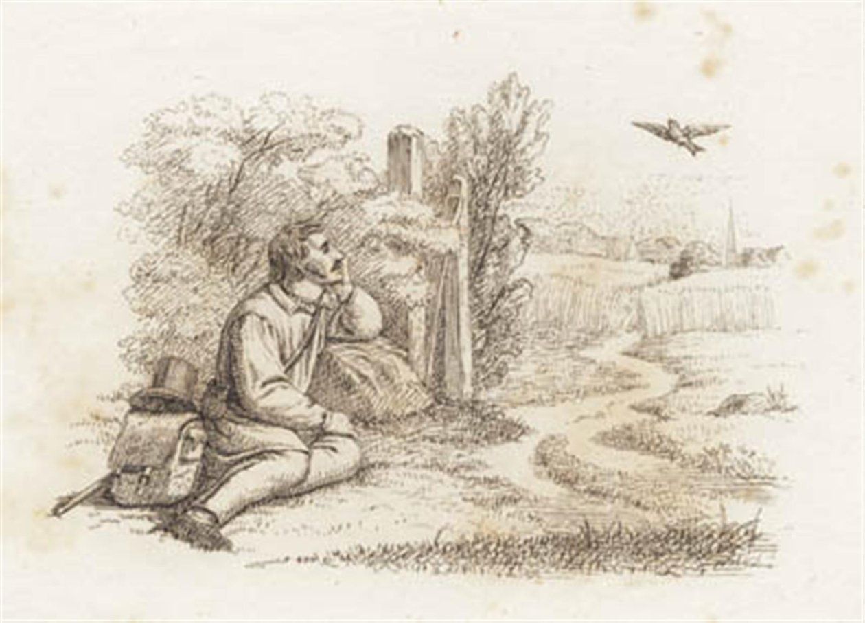 Illustration pour "Cinquante fables pour enfants" de Hey - Martinus Rørbye