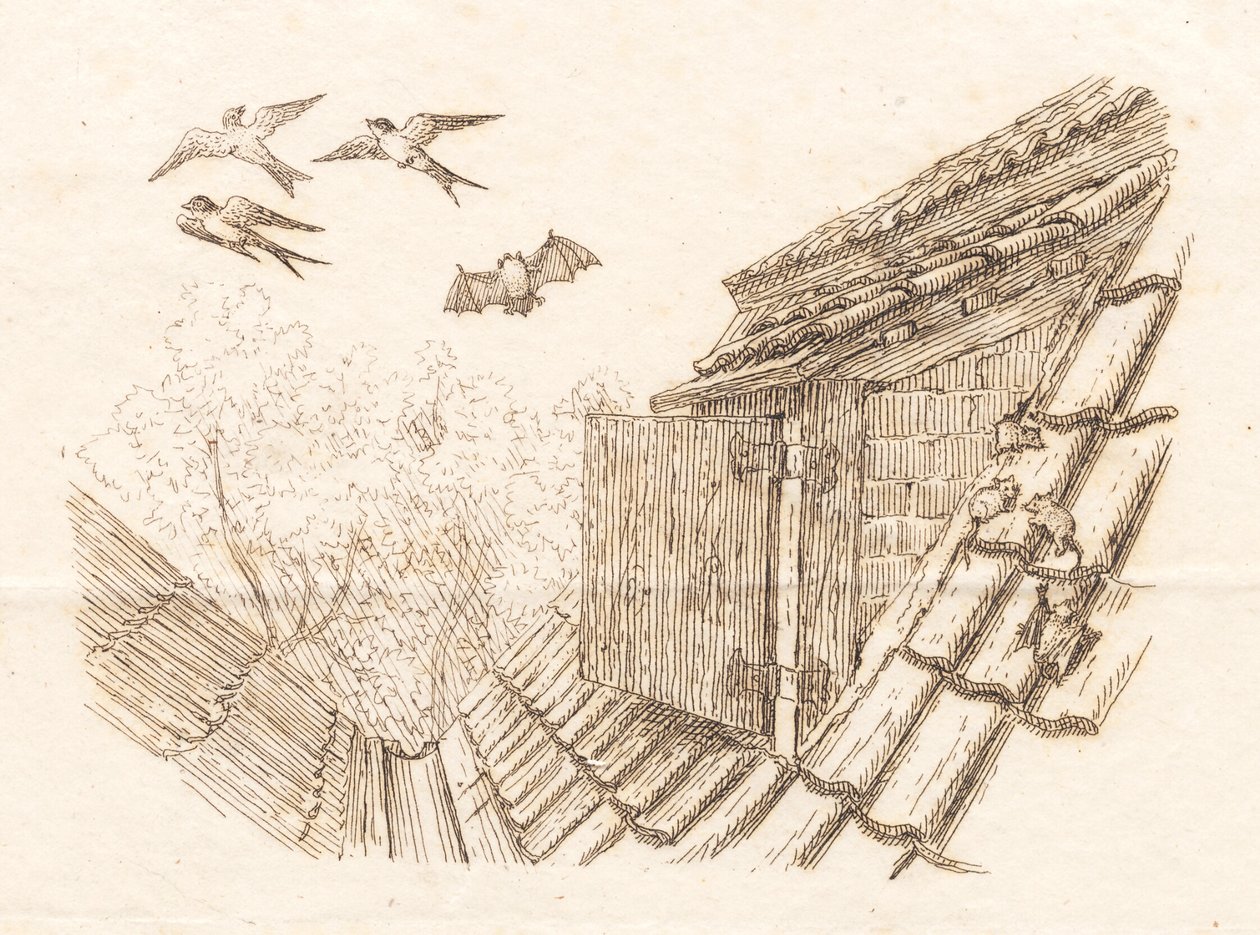 Illustration de "Halvhundrede Fabler pour Enfants" de Hey - Martinus Rørbye