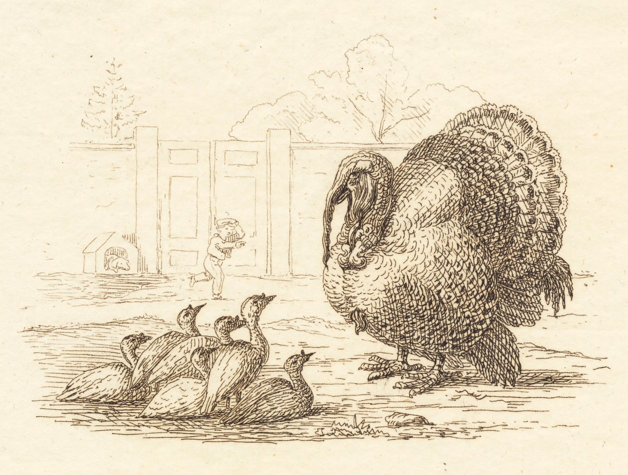 Illustration de "Halvhundrede Fabler for Børn" de Hey - Martinus Rørbye
