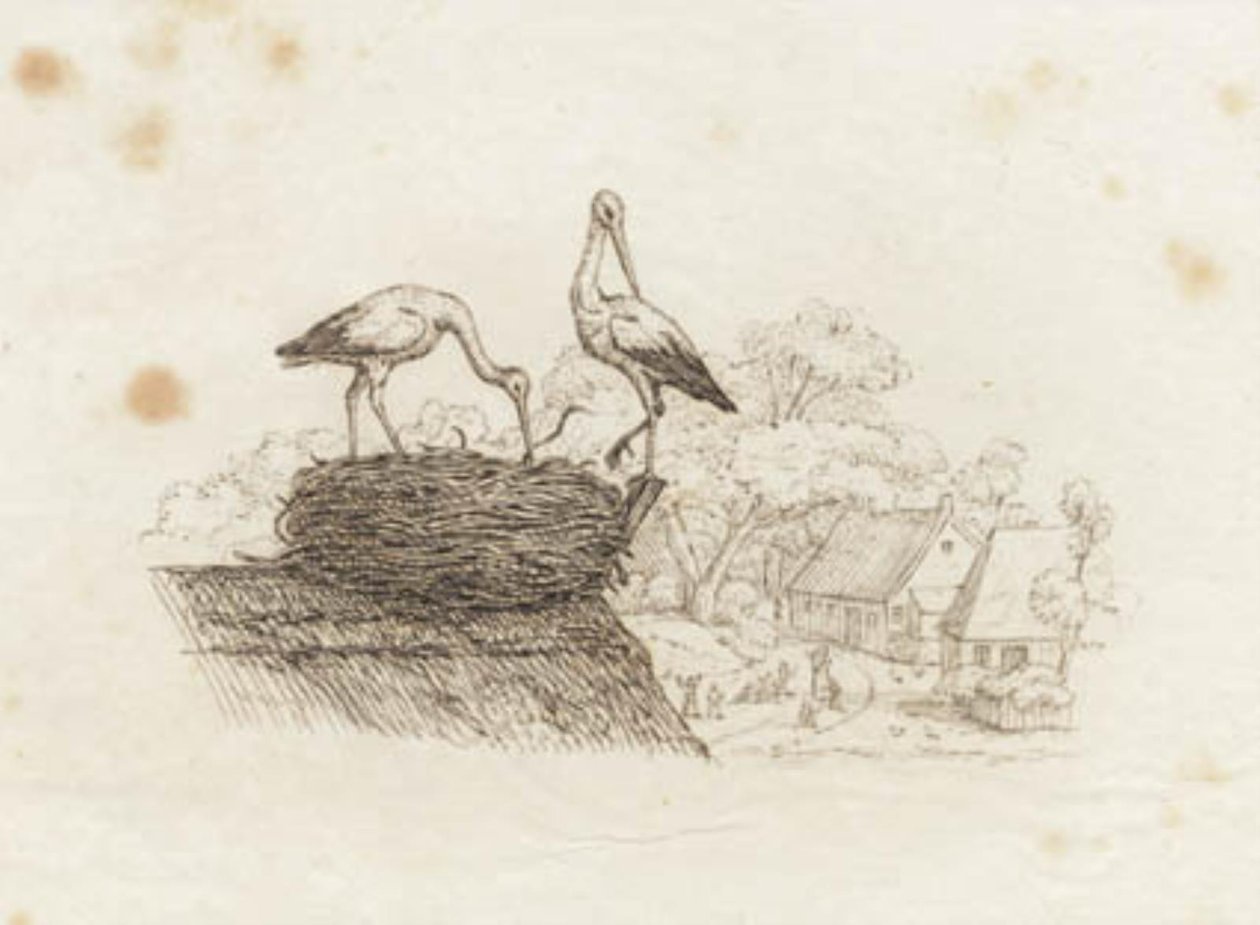 Illustration pour "Cinquante fables pour enfants" de Hey - Martinus Rørbye