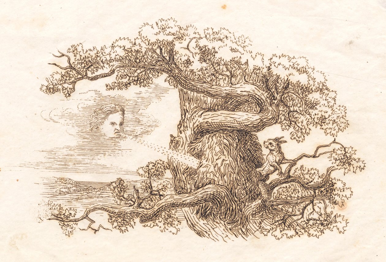 Illustration pour "Halvhundrede Fabler for Børn" de Hey - Martinus Rørbye