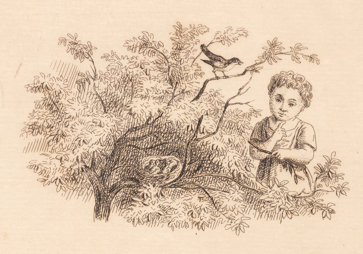 Illustration pour "Cinquante Fables pour Enfants" de Hey - Martinus Rørbye