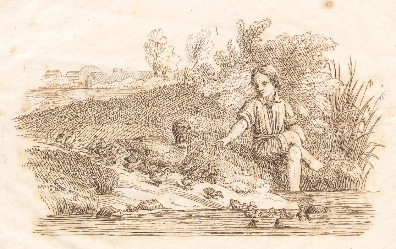 Illustration pour "Cinquante fables pour enfants" de Hey - Martinus Rørbye