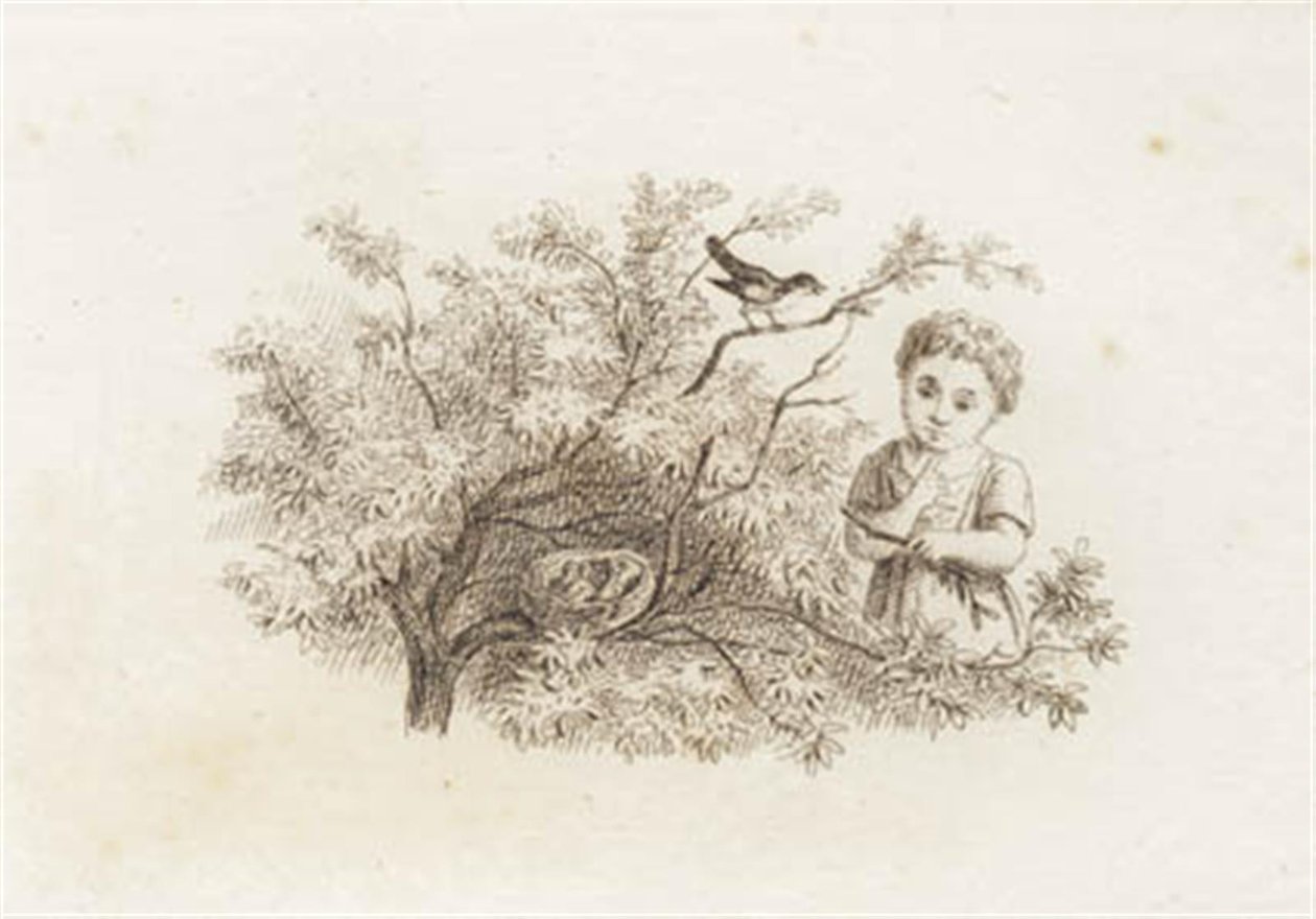 Illustration pour "Cinquante fables pour enfants" de Hey - Martinus Rørbye
