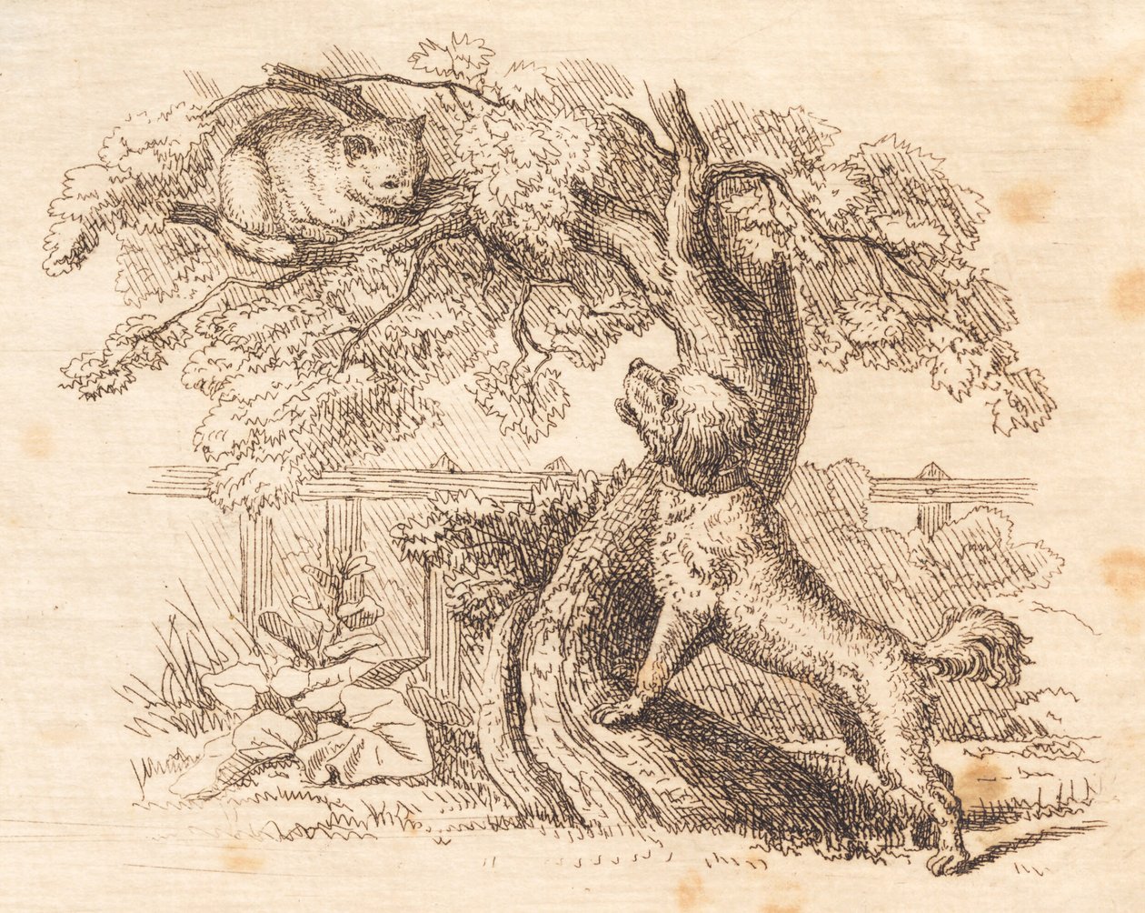 Illustration de "Halvhundrede Fabler for Børn" de Hey - Martinus Rørbye