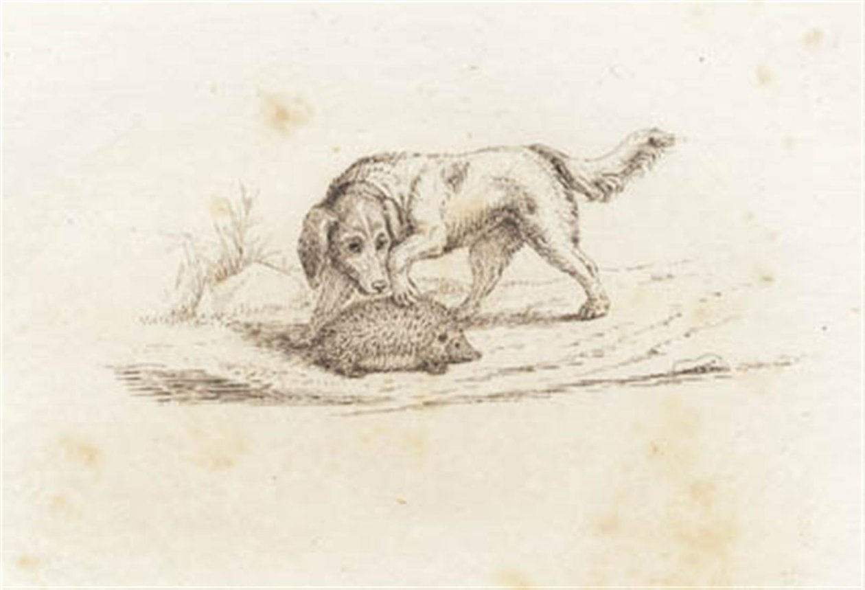 Illustration pour "Cinquante fables pour enfants" de Hey - Martinus Rørbye