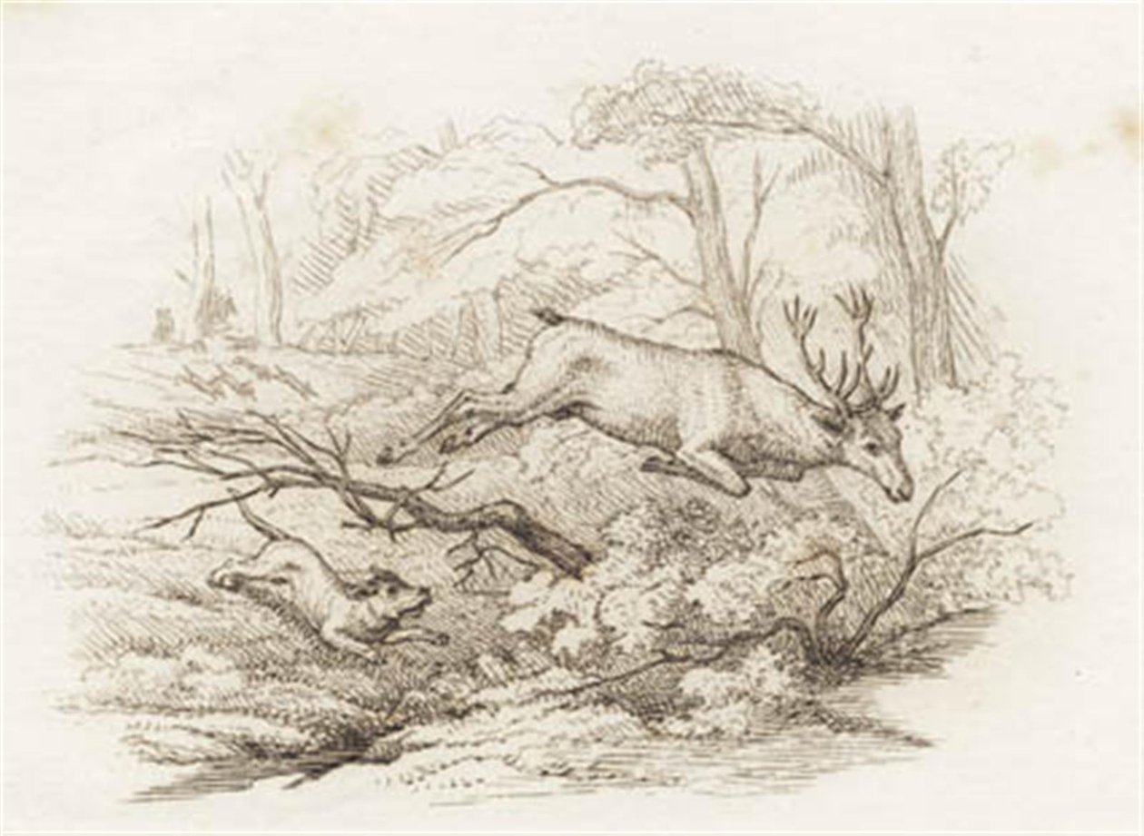 Illustration pour "Cinquante fables pour enfants" de Hey - Martinus Rørbye