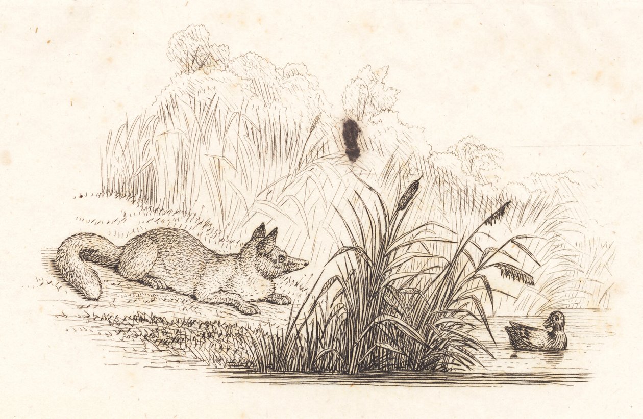 Illustration pour "Cinquante fables pour enfants" de Hey - Martinus Rørbye