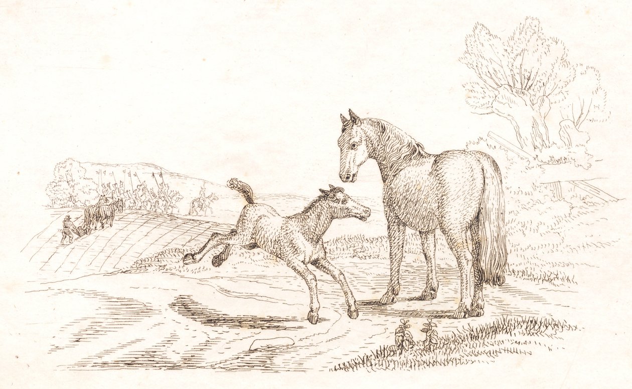 Illustration pour "Cinquante fables pour enfants" de Hey - Martinus Rørbye