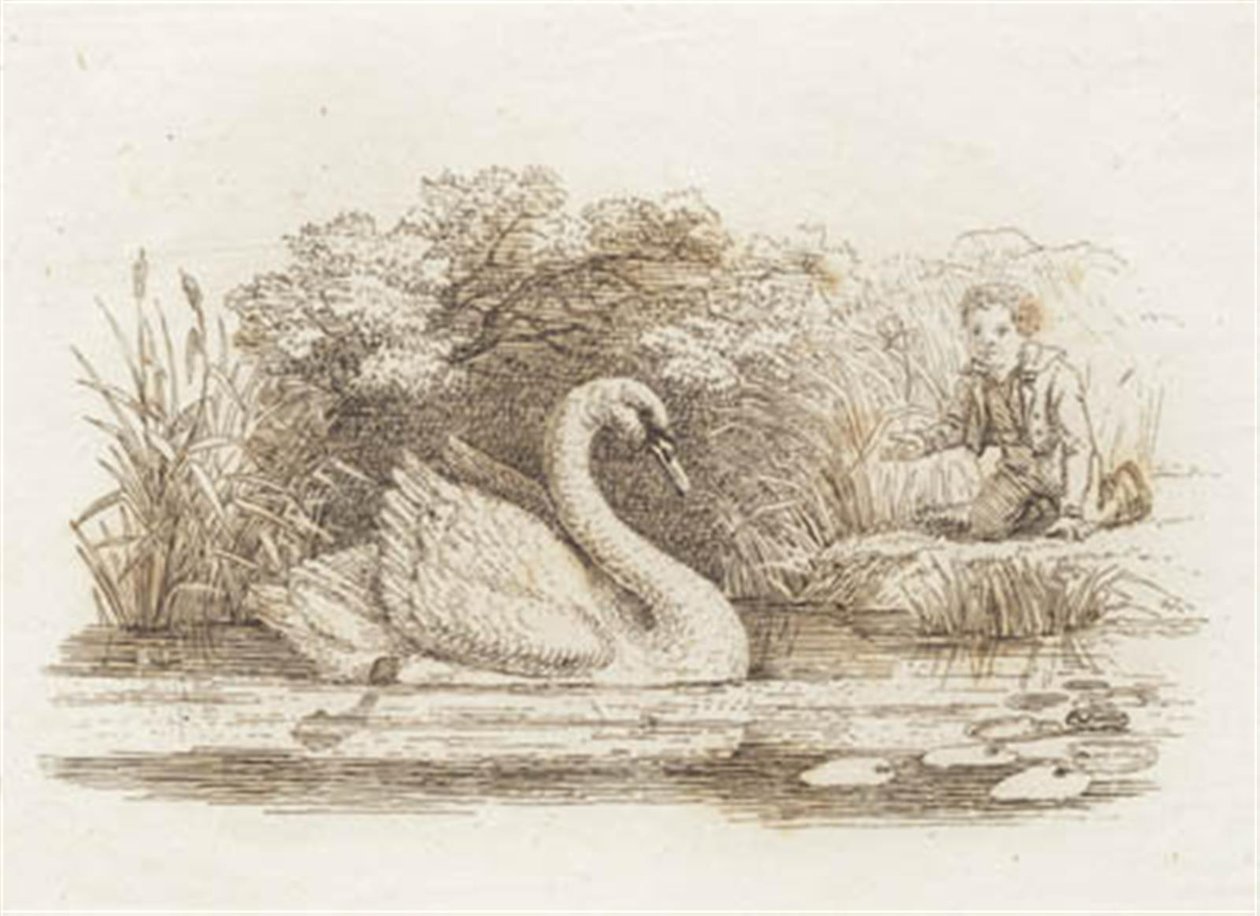Illustration de "Halvhundrede Fabler for Børn" de Hey - Martinus Rørbye