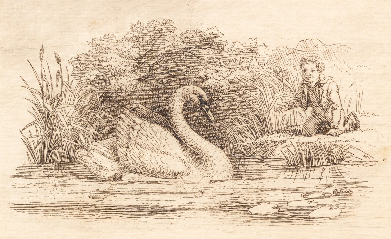 Illustration pour "Halvhundrede Fabler for Børn" de Hey - Martinus Rørbye