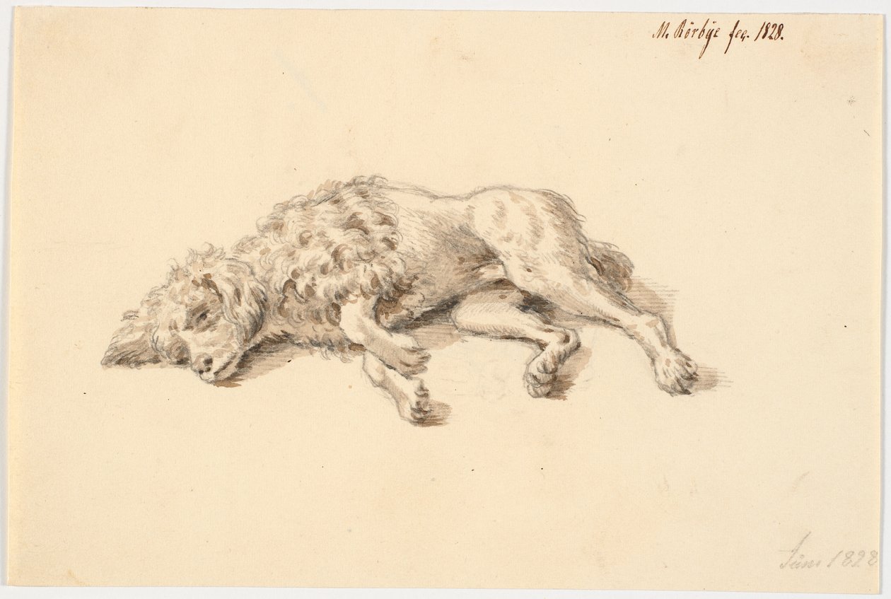 Caniche couché - Martinus Rørbye