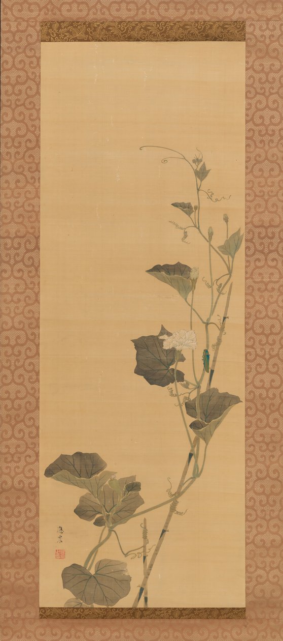 Fleurs de calebasse et coléoptère, début du 19ème siècle - Maruyama Ôshin
