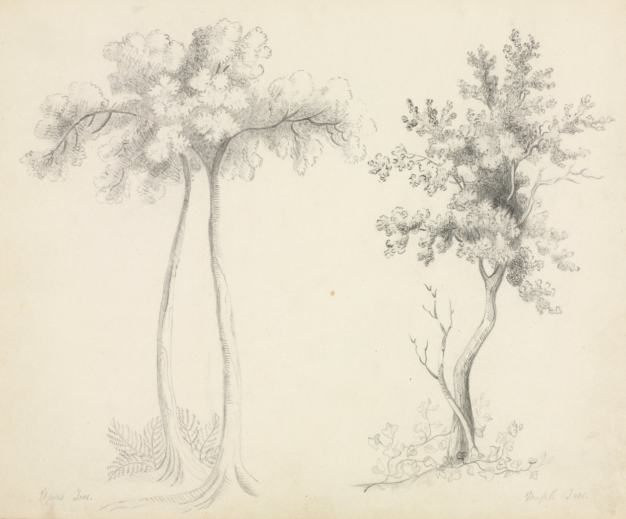 Études d