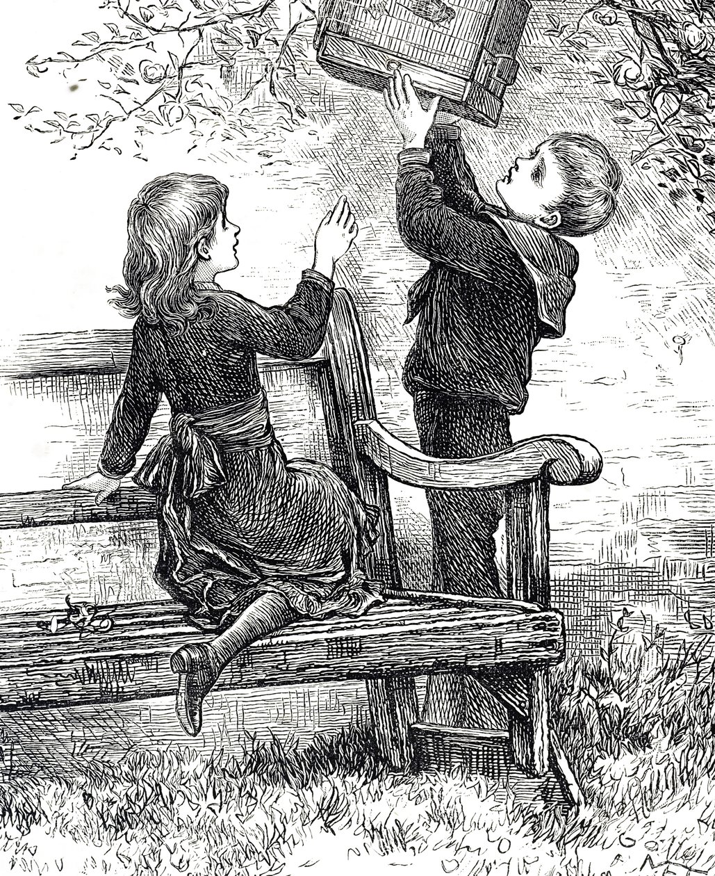 Gravure représentant des enfants avec leur moineau en cage - Mary Ellen Edwards