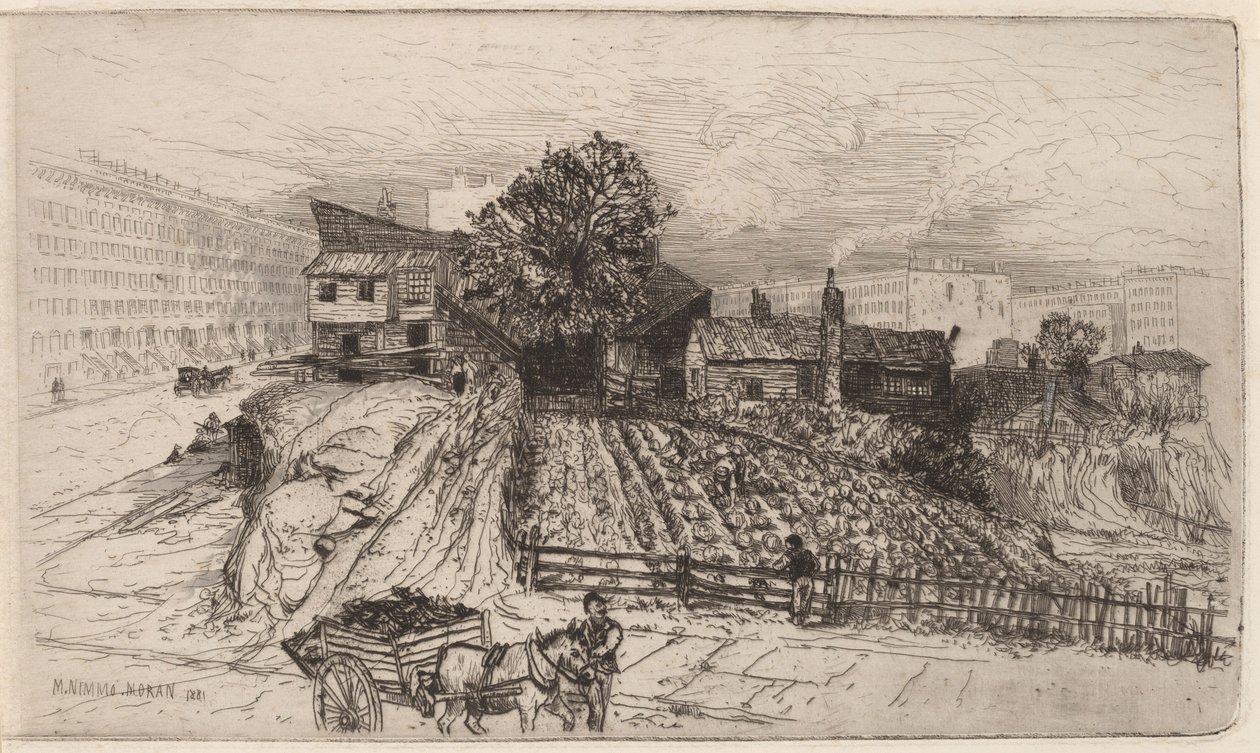Une ferme urbaine—New York - Mary Nimmo Moran