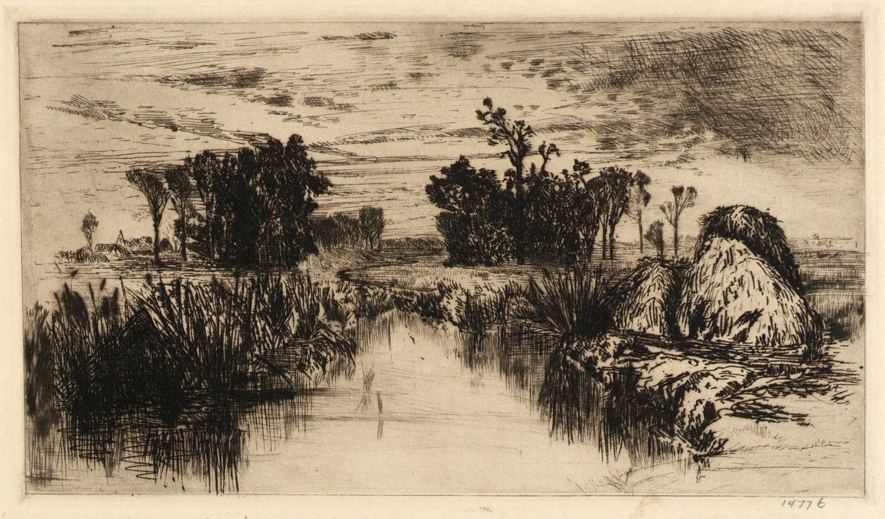 Quenouilles et arbres - Mary Nimmo Moran
