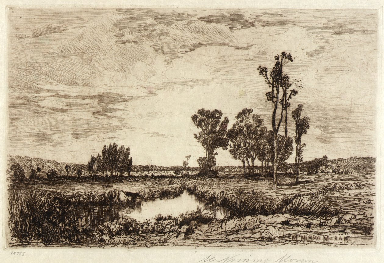 Bétail dans un étang - Mary Nimmo Moran