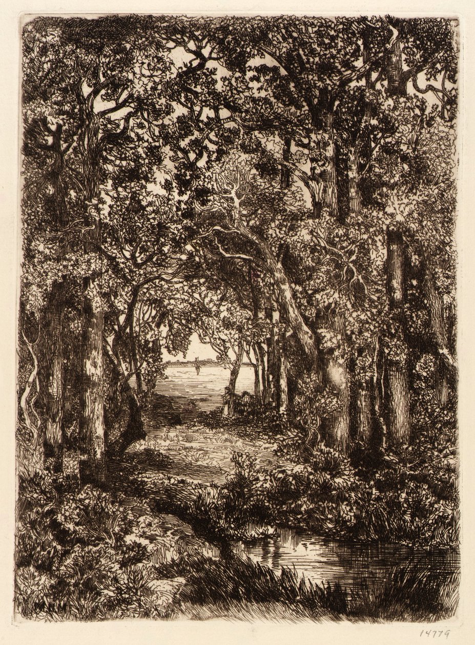 La mer à travers les bois - Mary Nimmo Moran