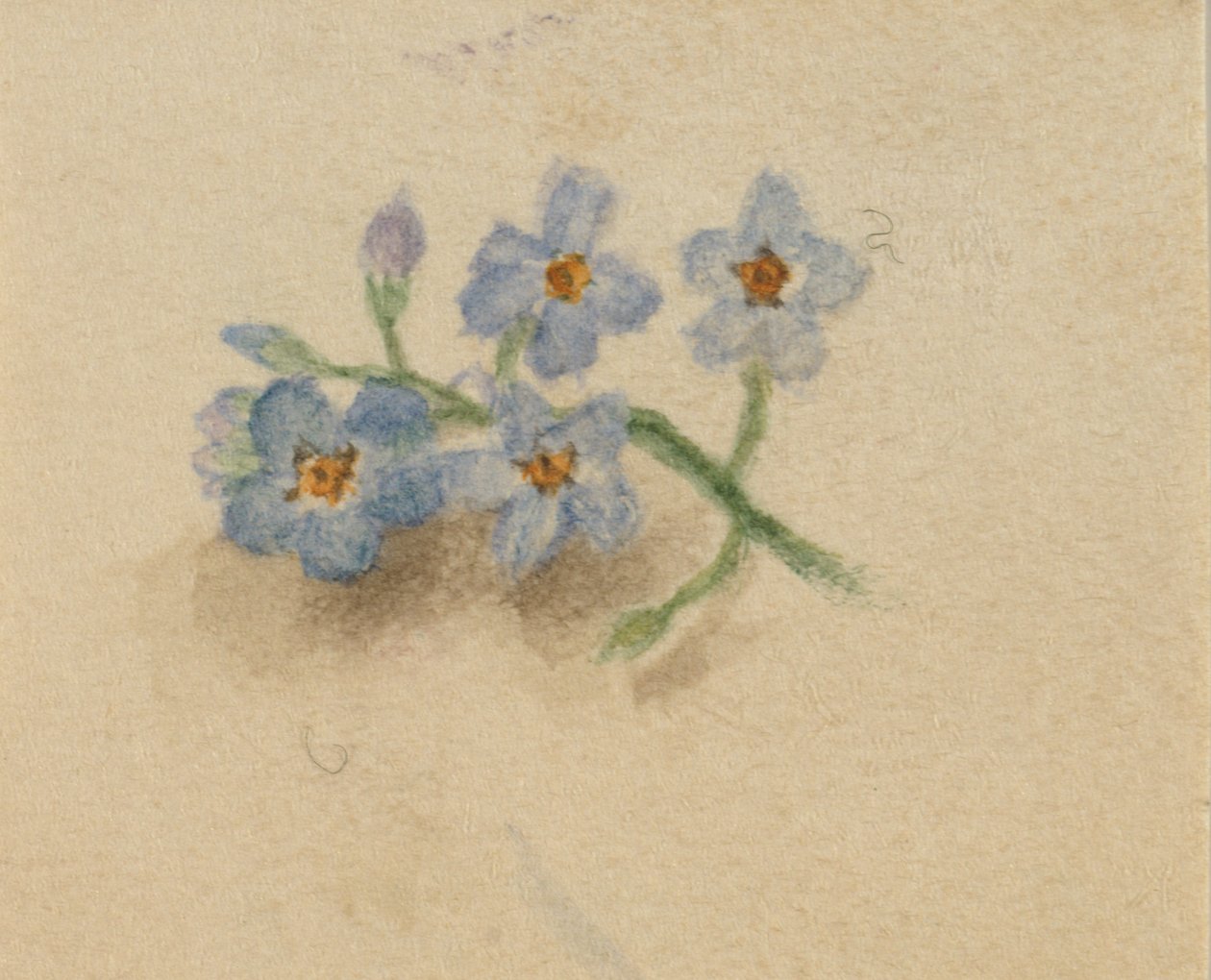 Sans titre, 1874 - Mary Vaux Walcott