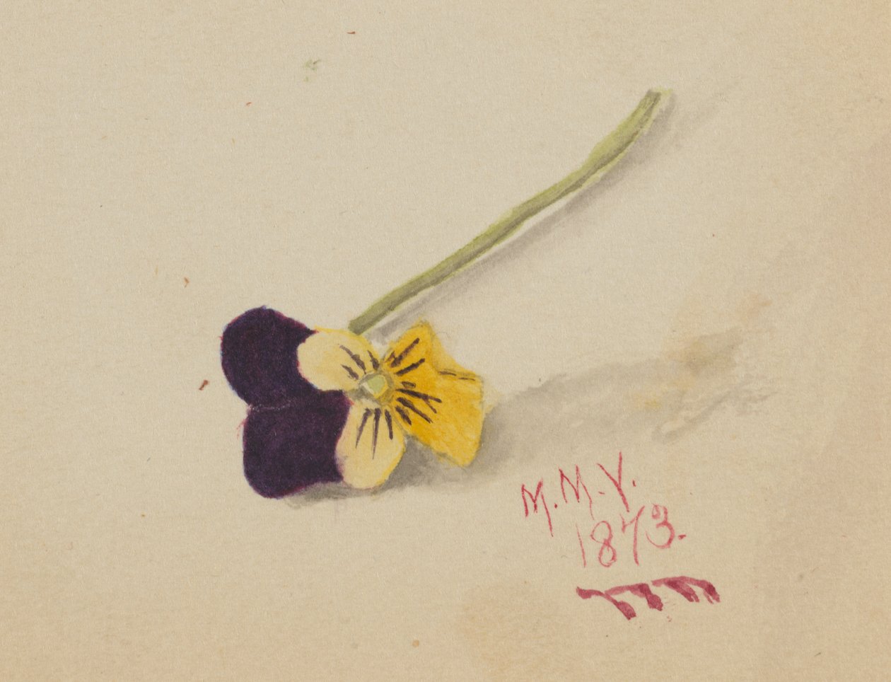 Pensée sans titre, 1873 - Mary Vaux Walcott