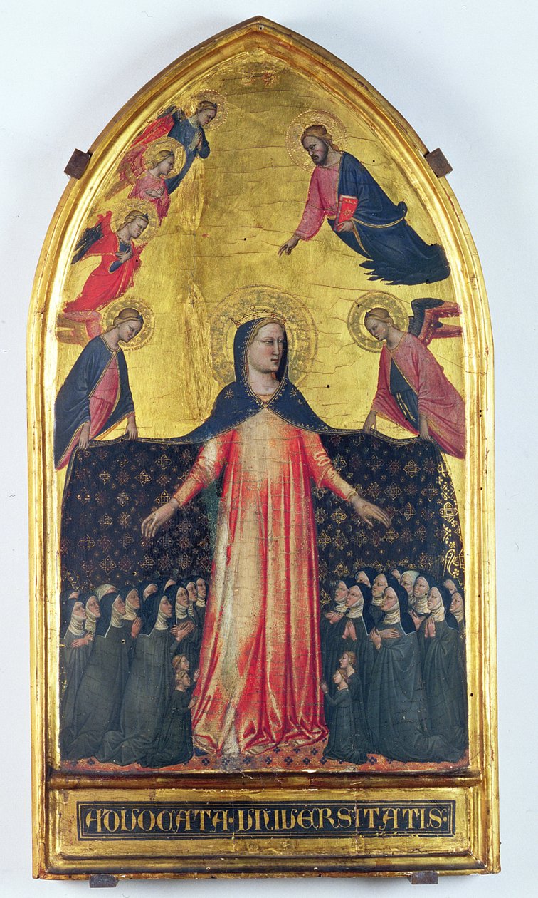 Madonna della Misericordia - Master of the Accademia Madonna