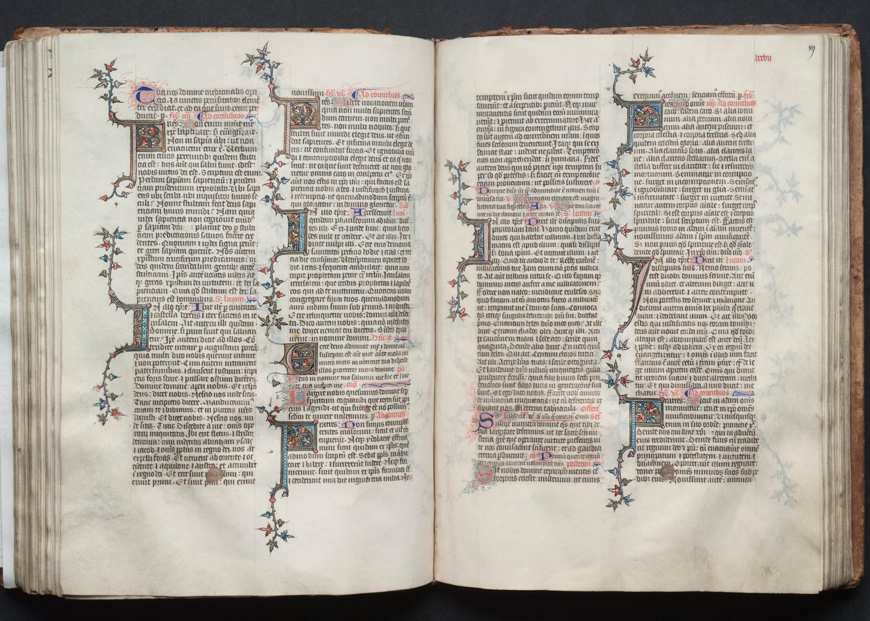 Le Missel de Gotha : Fol. 88v, Texte - Master of the Boqueteaux