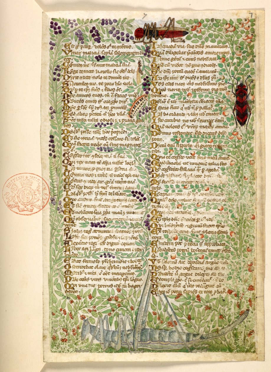 Fleurs, fruits et insectes, y compris une sauterelle et une locuste, d