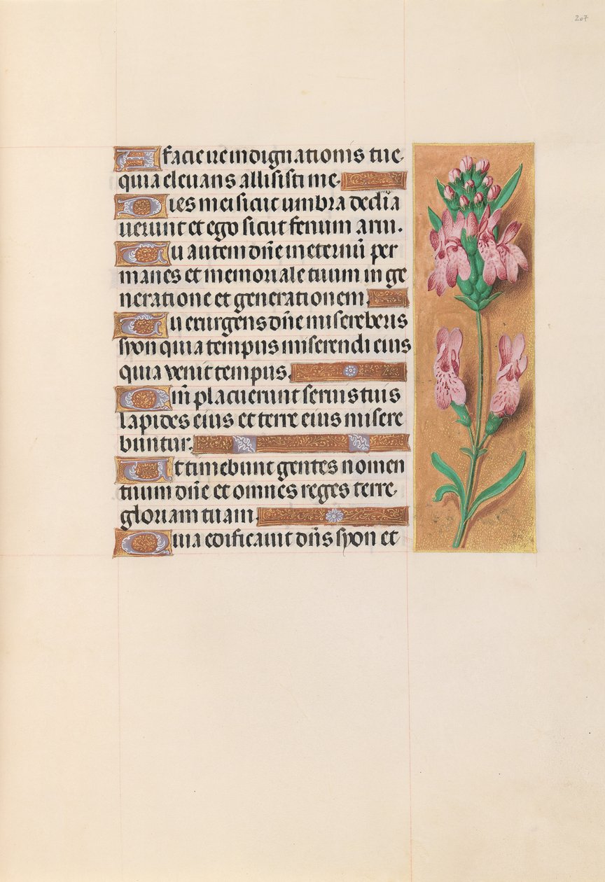 Heures de la reine Isabelle la Catholique, reine d