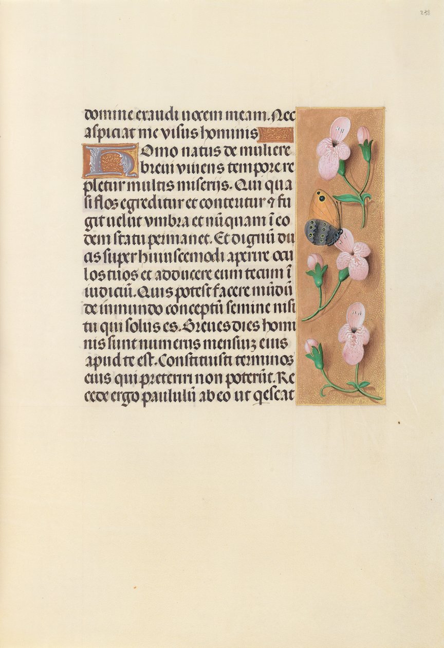 Heures de la reine Isabelle la Catholique, reine d