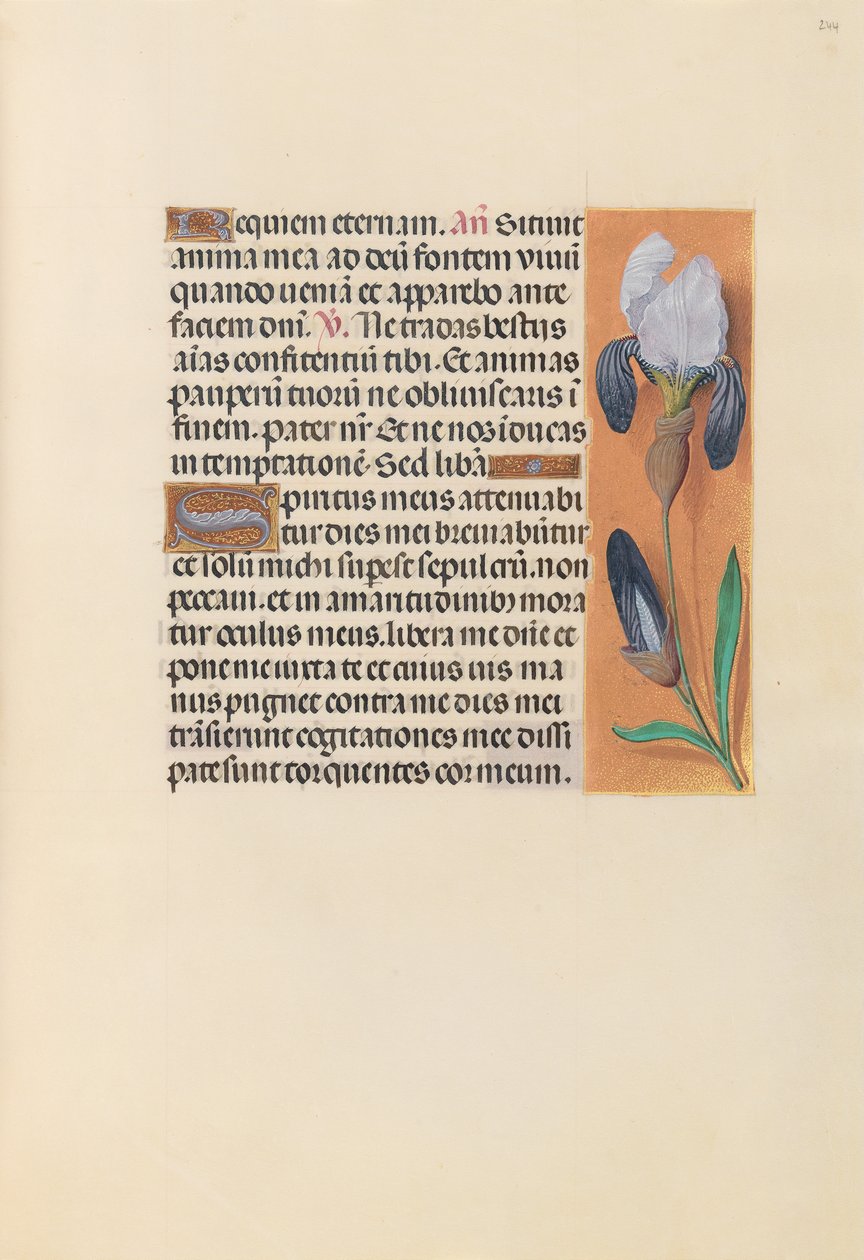 Heures de la reine Isabelle la Catholique, reine d