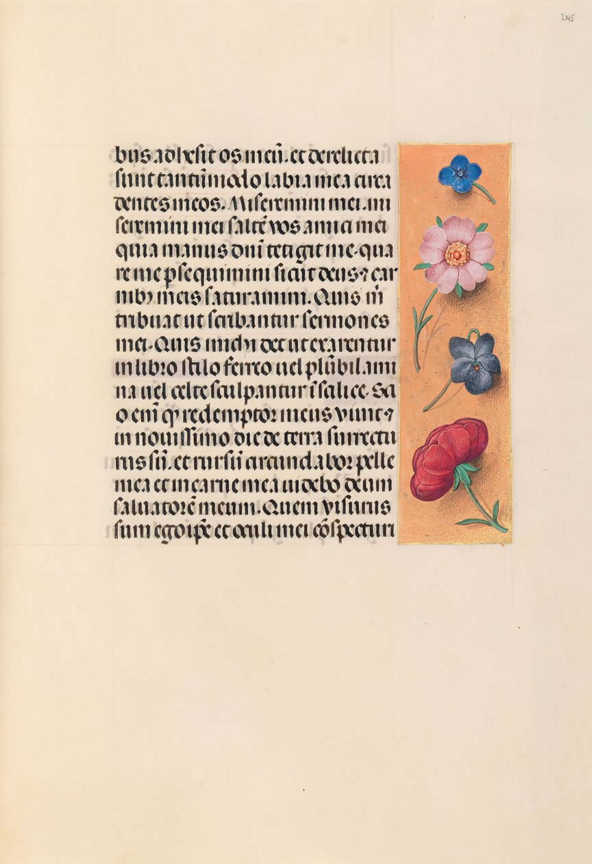 Heures de la reine Isabelle la Catholique, reine d