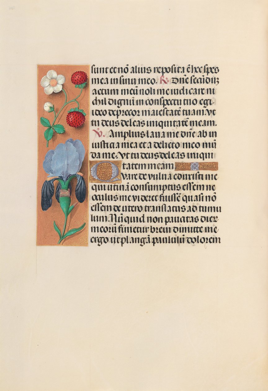 Heures de la reine Isabelle la Catholique, reine d
