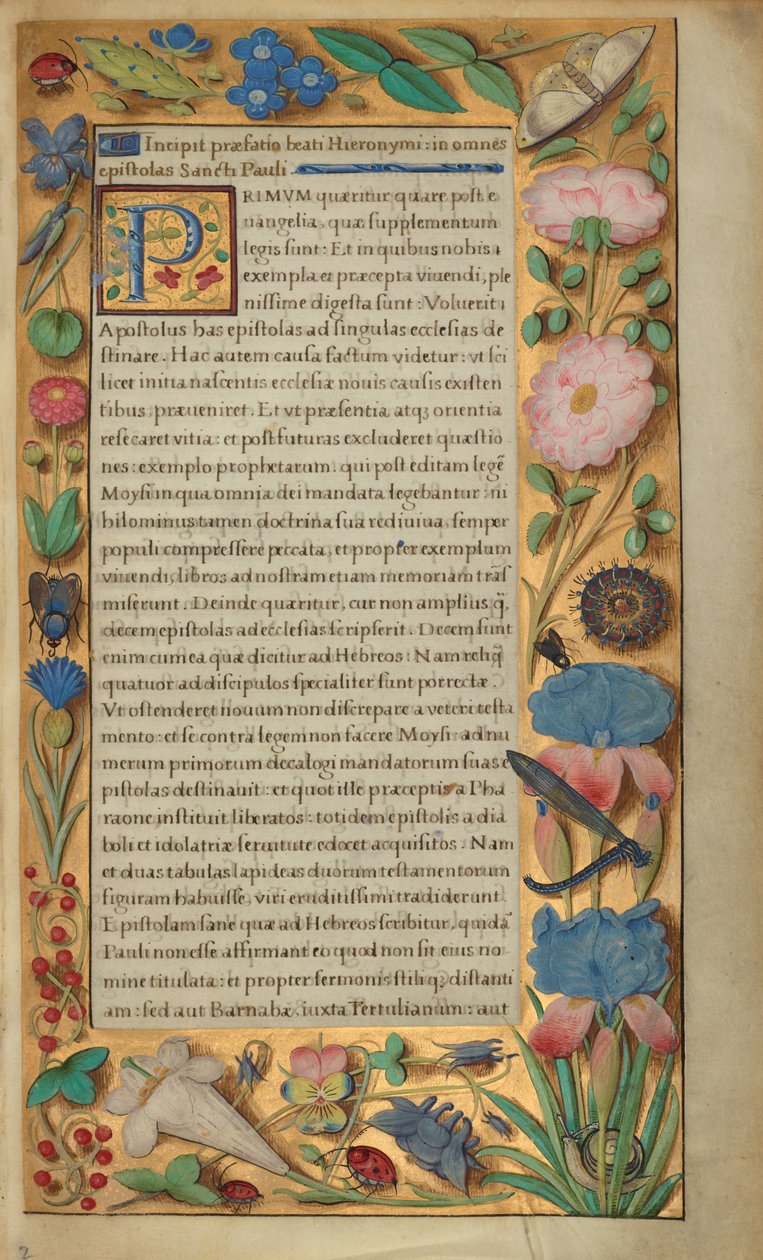 Page de texte décorée - Master of the Getty Epistles