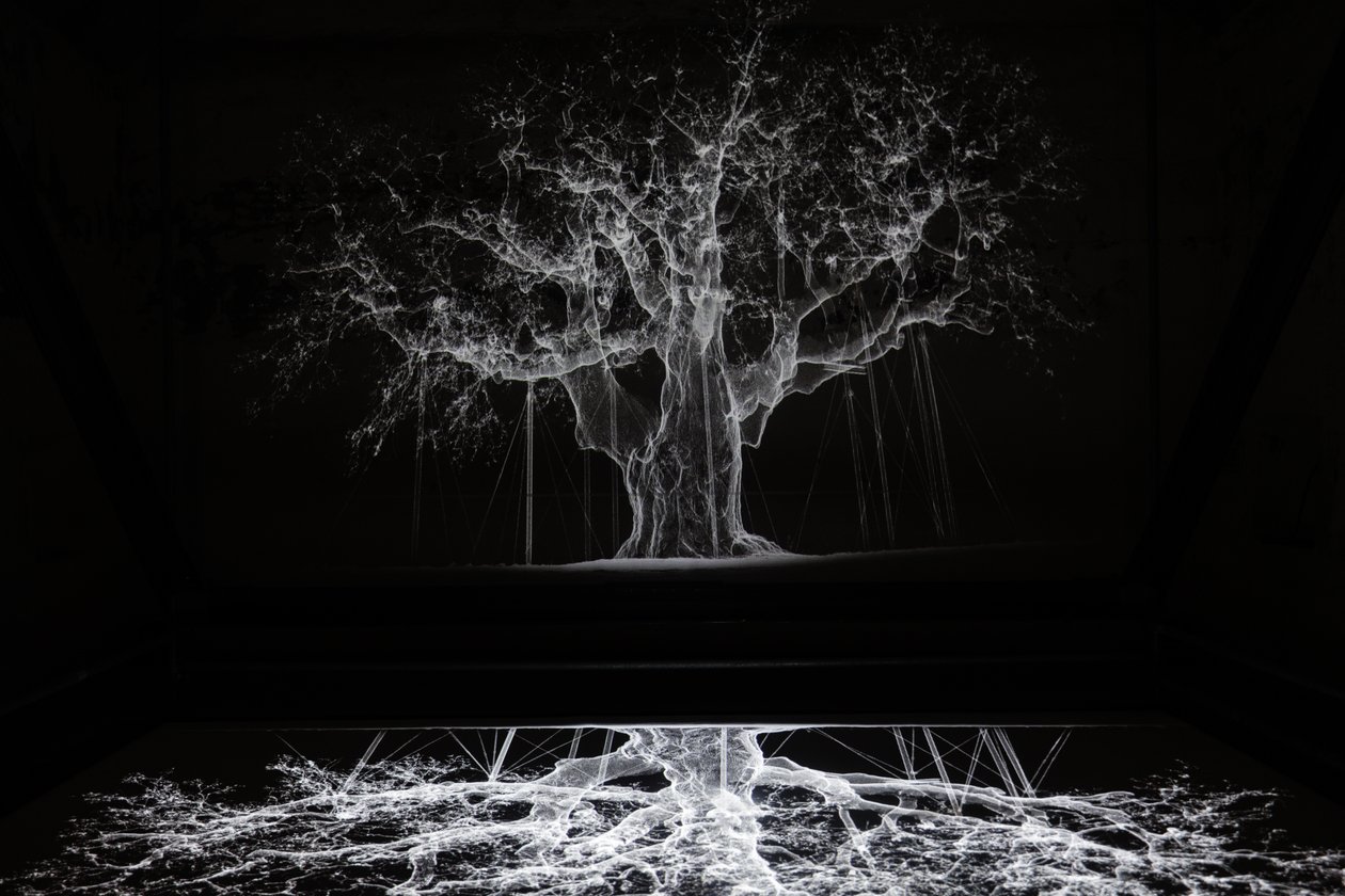 Albion, 2017 (projecteur, lecteur multimédia, échafaudage, film transparent, bois, peinture, miroir, accessoires d