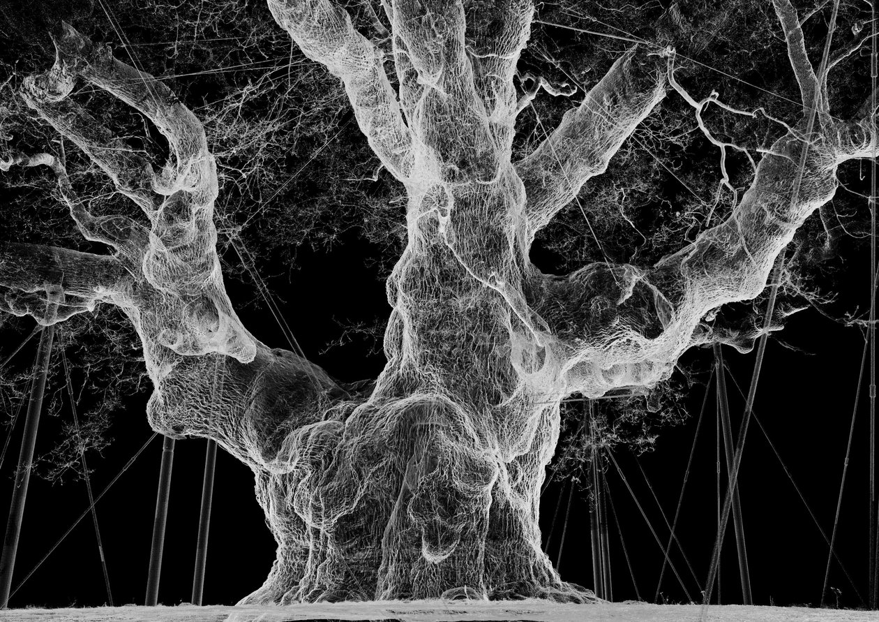 Albion, 2017 (projecteur, lecteur multimédia, échafaudage, film transparent, bois, peinture, miroir, accessoires d